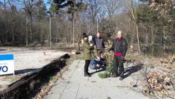 IG Offenbeach - Baumschnitt IG Offenbeach - Baumschnitt